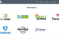 Responsible Online Gaming Association Founded by iGaming, Sportsbook Leaders